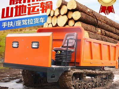 山地履带运输车 小型农用爬山虎座驾式 全地形货物搬运履带车图2