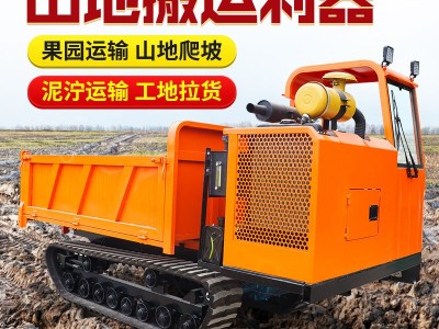 山地履带运输车 小型农用爬山虎座驾式 全地形货物搬运履带车图4