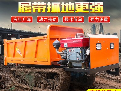 山地履带运输车 小型农用爬山虎座驾式 全地形货物搬运履带车图5