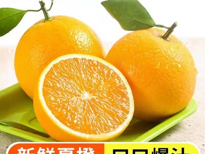 夏橙秭归脐橙新鲜水果榨汁橙现摘现发包邮湖北孕妇多图2