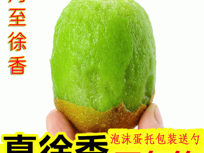 【现货】周至徐香猕猴桃 绿心徐香奇异果 秦麓源绿心徐香猕猴桃图2
