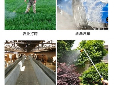 喷洒农用高压打药机消毒器 现货供应16L-18L-20L背负式电动喷雾器图4