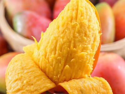 【催熟食用】广西百色芒果贵妃芒 新鲜水果现摘现发 一件代图2