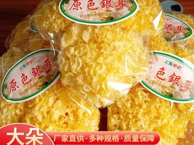 原色银耳厂家自销 古田特产干货银耳 食用菌干货银耳批发图1