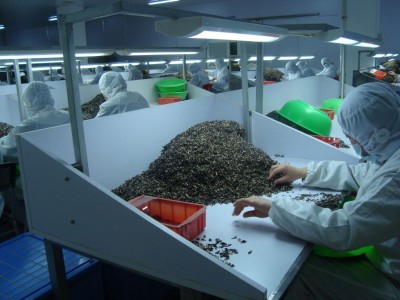 古甜 毛木耳丝1kg 白背木耳丝 黑木耳 出口木耳丝1mm和2mm丝厂家图3