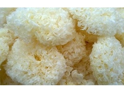 古田银耳500g 雪耳 丑耳 古田白木耳 银耳花 厂家批发图2