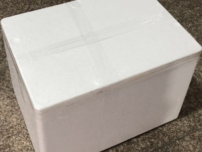 【古甜】鲜银耳12棒/箱，带菌棒的鲜活耳 古田银耳 雪耳 厂家批发图5