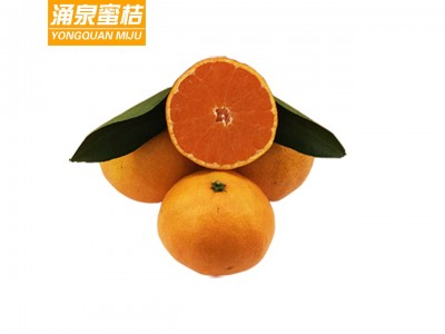 涌泉蜜桔台州临海黄岩无核橘子新鲜水果浙江特产桔子爆桔试吃装图2