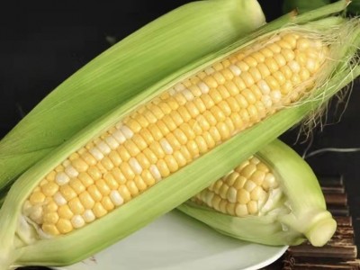 新鲜现摘水果玉米整箱9斤生吃甜玉米棒子爆浆甜谷米蔬菜图5