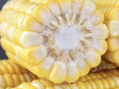 新鲜现摘水果玉米整箱9斤生吃甜玉米棒子爆浆甜谷米蔬菜图2