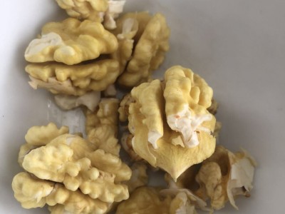 青皮核桃 去皮湿核桃 新鲜原味生核桃 薄壳绿皮核桃大量批发图3