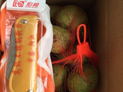 青皮核桃 去皮湿核桃 新鲜原味生核桃 薄壳绿皮核桃大量批发图4