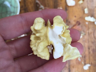 青皮核桃 去皮湿核桃 新鲜原味生核桃 薄壳绿皮核桃大量批发图2