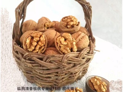核桃 优等坚果薄皮核桃 山东特产 大量纸皮核桃批发 支持一件代发图5