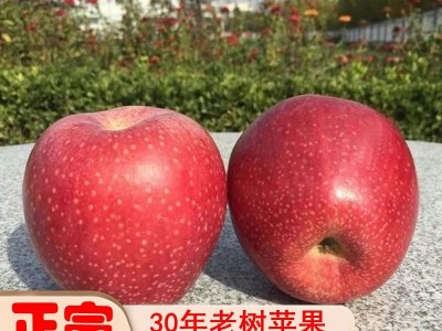精选粉面红秦冠苹果老树红香蕉水果带箱10斤沙甜丑苹果一件批发图2