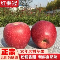 精选粉面红秦冠苹果老树红香蕉水果带箱10斤沙甜丑苹果一件批发
