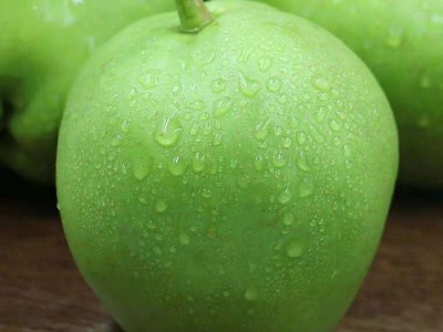 现货新鲜早酥梨青皮梨子陕西脆甜多汁整箱10/5斤当季水果一件批发图2