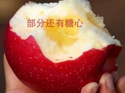 正宗陕西秦冠苹果粉面沙甜老树红香蕉丑苹果应季水果整箱非冰糖心图2