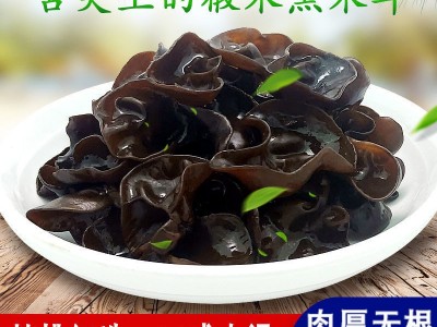 黑木耳东北野生小碗耳木耳干货批发长白山秋木耳无根肉厚商用工厂图2