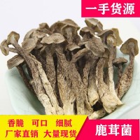 鹿茸菇批发 干货鹿茸菌 粗条大条鹿茸菇菌菇食材500g