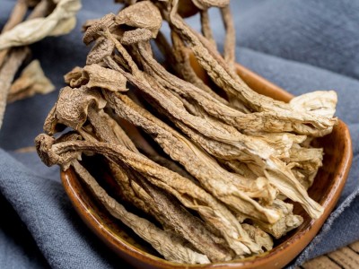 鹿茸菇批发 干货鹿茸菌 粗条大条鹿茸菇菌菇食材500g图3
