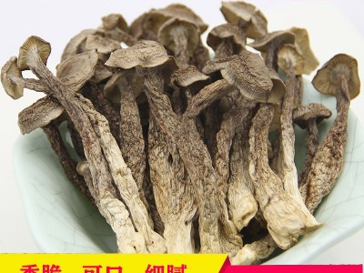 鹿茸菇批发 干货鹿茸菌 粗条大条鹿茸菇菌菇食材500g图2
