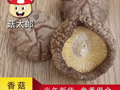 西峡干香菇大香菇干货500g菇太郎冬菇出口欧盟农家特产干香菇图3