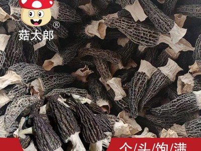 菇太郎批发羊肚菌原产地头茬羊肚菌干货散装 现货批发可出口商检图2
