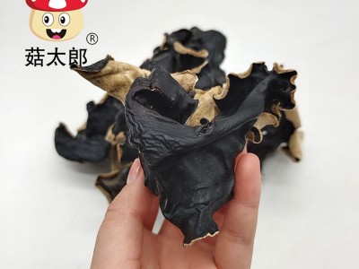 菇太郎头茬大白背毛木耳农家特产干货散装餐饮火锅食堂商用可出口图3