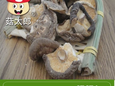 菇太郎香菇碎片农家干货特产碎香菇干香菇500g破片香菇批发图5