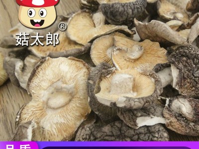菇太郎香菇碎片农家干货特产碎香菇干香菇500g破片香菇批发图2