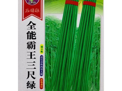 长豆角无筋高产豇豆四季早熟蔬菜种子农家长抗虫抗病高产图4
