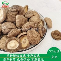 产地批发食用香菇新鲜香菇500g食用香菇直径3cm4cm