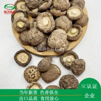 香菇2-3cm批发零售 农家特产食用菌干货
