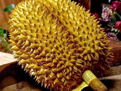 顺丰包邮全年供应泰国金枕榴莲当季新鲜带壳2-10斤软糯香甜水果图4