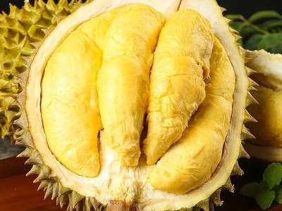 全年供应顺丰包邮泰国金枕榴莲软糯香甜新鲜带壳孕妇水果一件代发图2