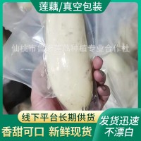 商用新鲜莲藕300g袋 火锅麻辣烫冒菜串串油炸凉拌餐饮食材脆莲藕