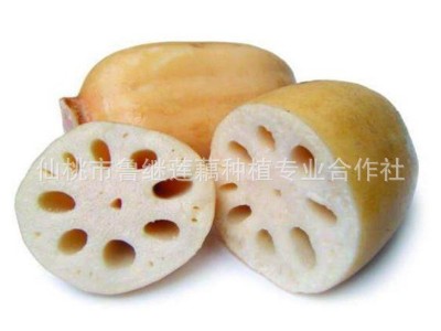 商用新鲜莲藕300g袋 火锅麻辣烫冒菜串串油炸凉拌餐饮食材脆莲藕图5