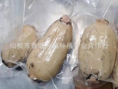 商用新鲜莲藕300g袋 火锅麻辣烫冒菜串串油炸凉拌餐饮食材脆莲藕图2