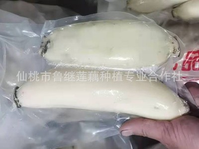 现货蔬菜新鲜脆藕 家用商用食材凉拌脆莲藕 300g农家鲜藕泥巴藕图4