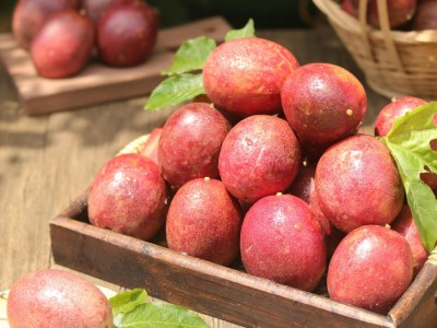 百香果批发紫百香果当季新鲜水果酸甜多汁孕妇水果饮品奶茶店批发图3