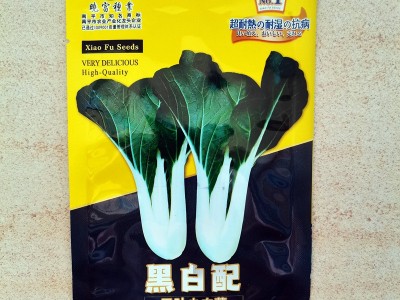 黑白配 黑叶小白菜种子 口感好 耐热耐湿 容易种植四季播种30天收图2