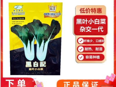 黑白配 黑叶小白菜种子 口感好 耐热耐湿 容易种植四季播种30天收图1