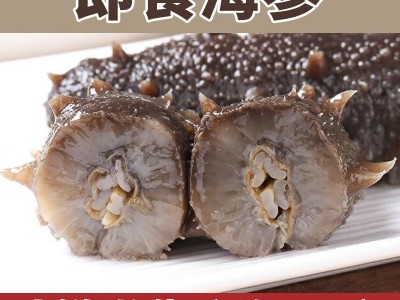 即食海参500g长岛海参辽参长岛纯天 然野 生刺参非干货图5