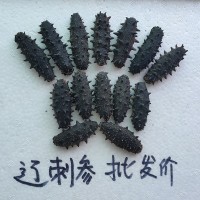 大连A级淡干海参500g克特价辽参刺参水产干货1斤散装批发工厂现货