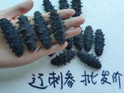 大连A级淡干海参500g克特价辽参刺参水产干货1斤散装批发工厂现货图3