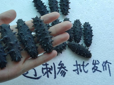 大连A级淡干海参500g克特价辽参刺参水产干货1斤散装批发工厂现货图2