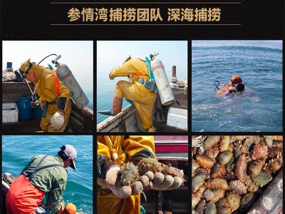 淡干海参大连A级海参水产干货辽参刺参小海参批发500g可选配礼盒图4
