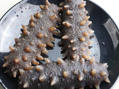 御和贸易大连冷冻即食海参批发工厂直销 大连即食海参500克 1斤装图2