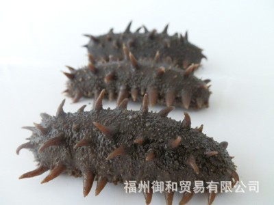 御和贸易大连冷冻即食海参批发工厂直销 大连即食海参500克 1斤装图5